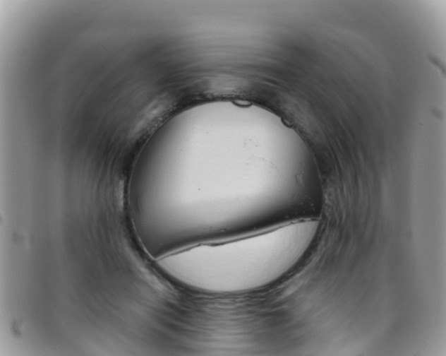 X0000096160454200801180855