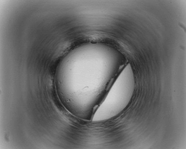 X0000096160456200801180855