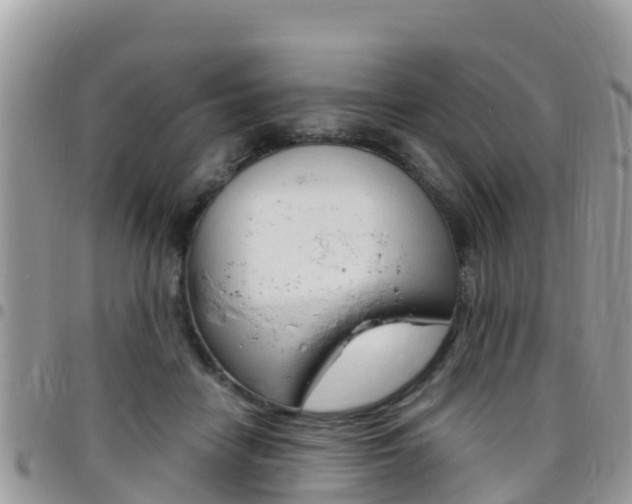 X0000096160458200801180855