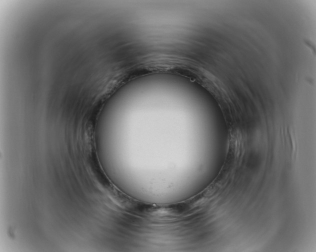 X0000096160460200801180855