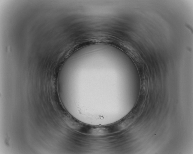 X0000096160461200801180855