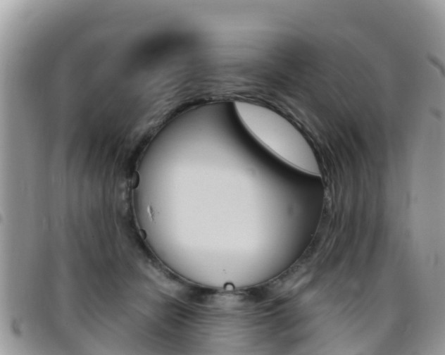 X0000096160462200801180855
