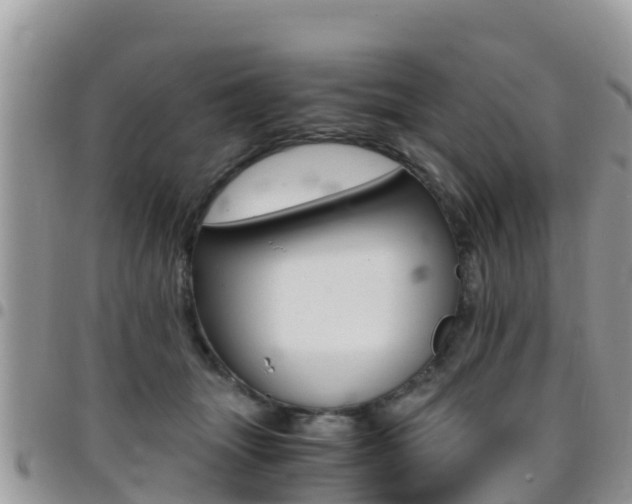 X0000096160463200801180855