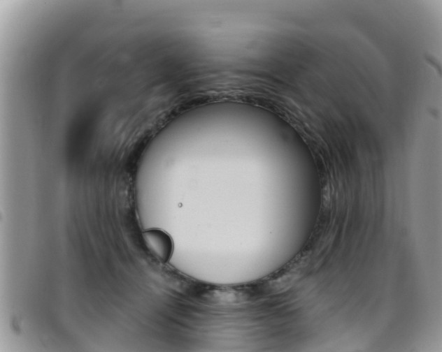 X0000096160464200801180855