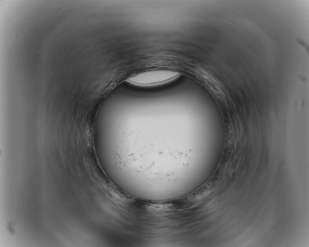 X0000096160465200801180855