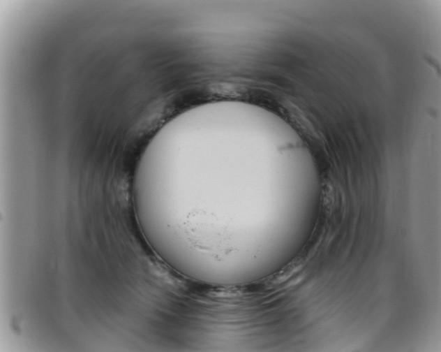 X0000096160466200801180855