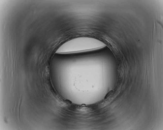 X0000096160467200801180855