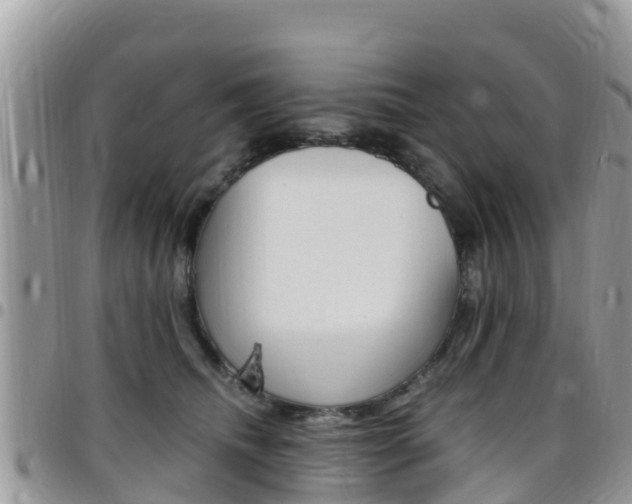 X0000096160468200801180855