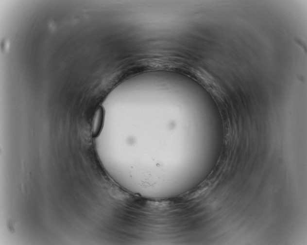 X0000096160469200801180855