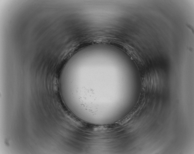 X0000096160470200801180855