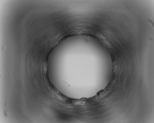 X0000096160471200801180855