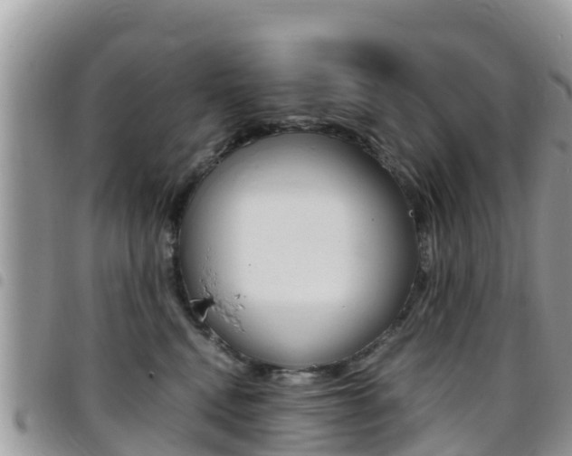 X0000096160472200801180855