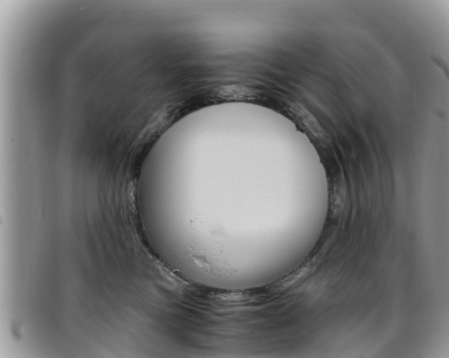 X0000096160473200801180855