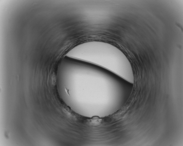 X0000096160474200801180855