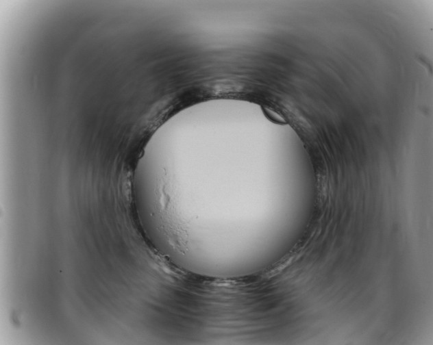 X0000096160475200801180855
