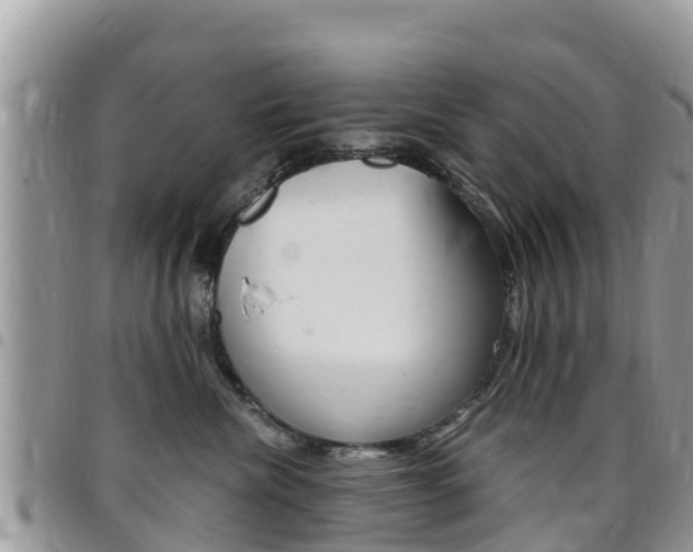 X0000096160476200801180855