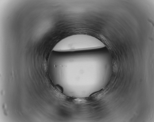X0000096160477200801180855