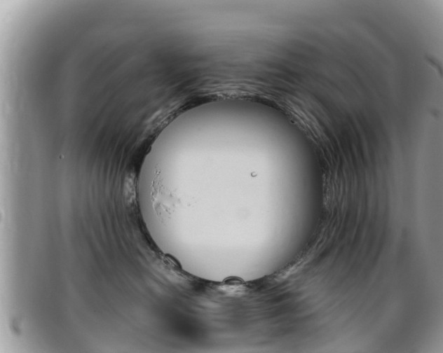 X0000096160478200801180855