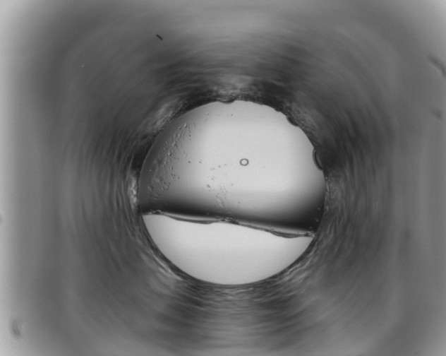 X0000096160479200801180855