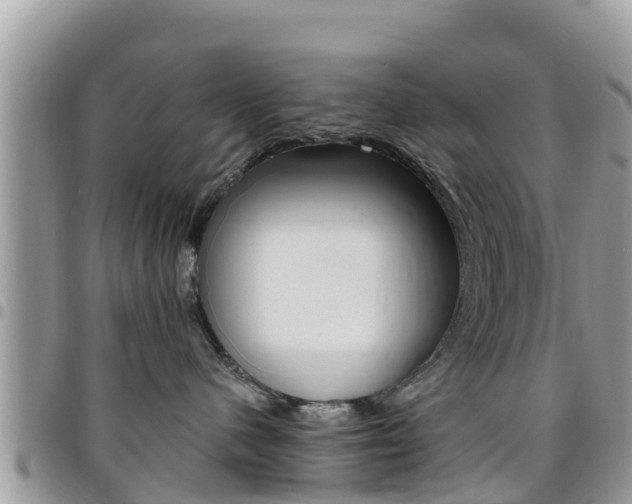 X0000096160480200801180855