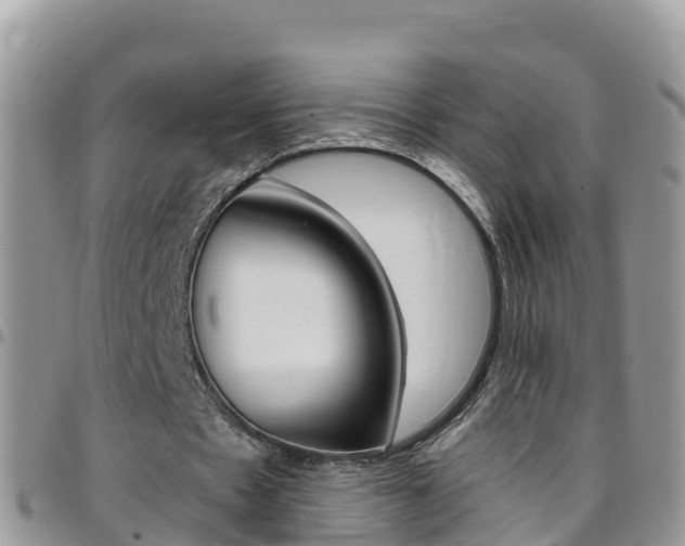 X0000096160481200801180855