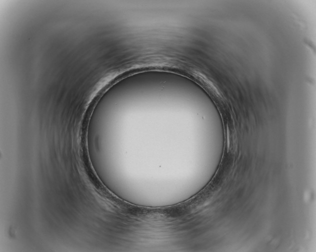 X0000096160483200801180855