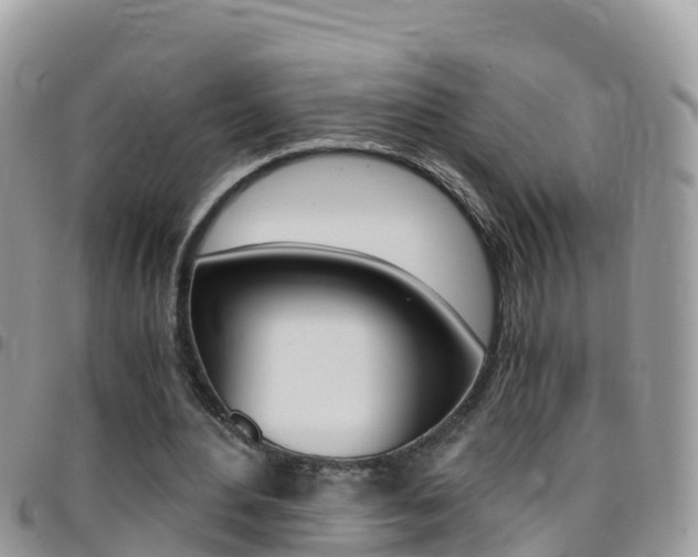 X0000096160484200801180855