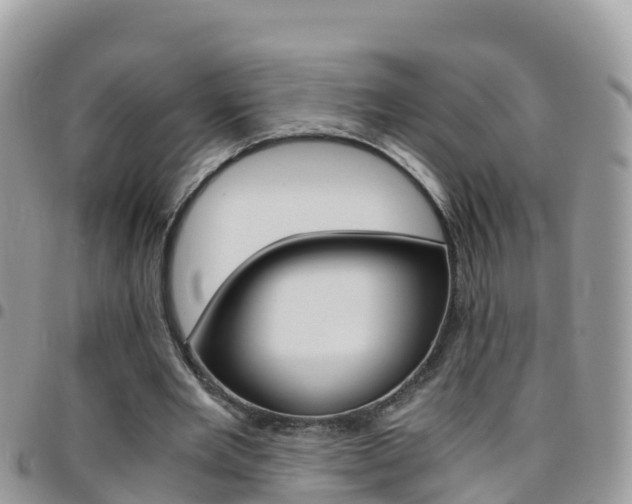 X0000096160485200801180855