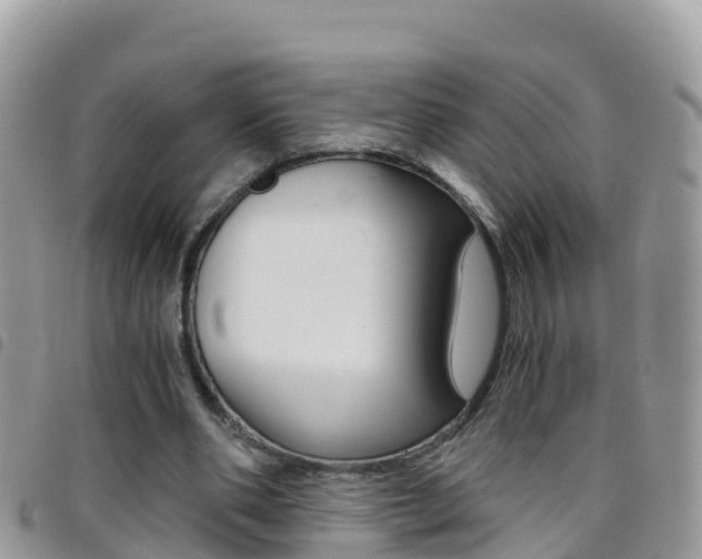 X0000096160486200801180855