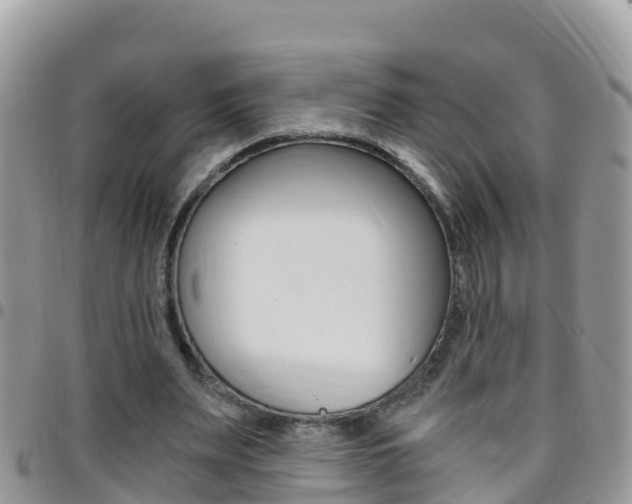 X0000096160487200801180855
