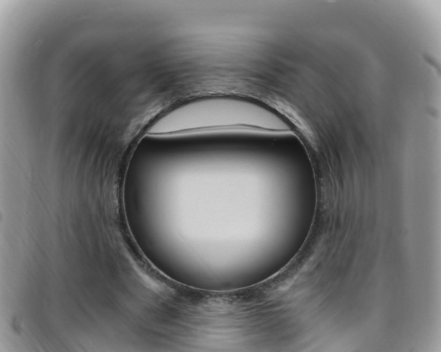 X0000096160489200801180855