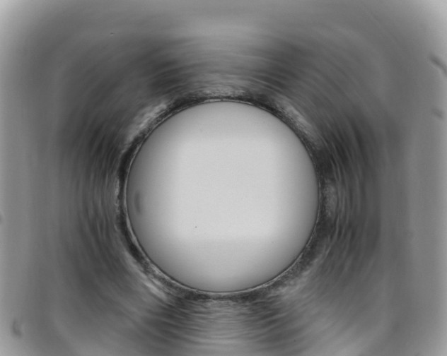 X0000096160490200801180855