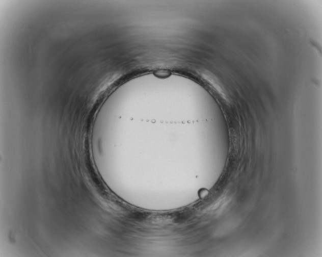 X0000096160491200801180854