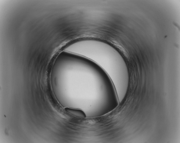 X0000096160492200801180854