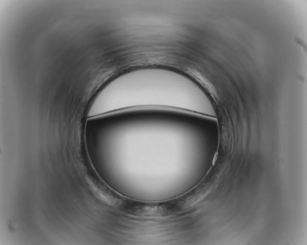 X0000096160493200801180854