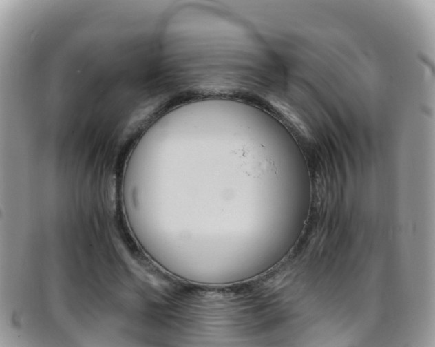 X0000096160494200801180854