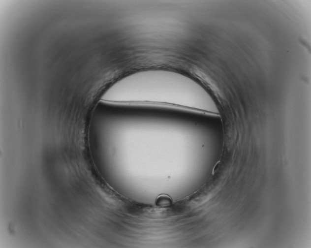X0000096160497200801180854
