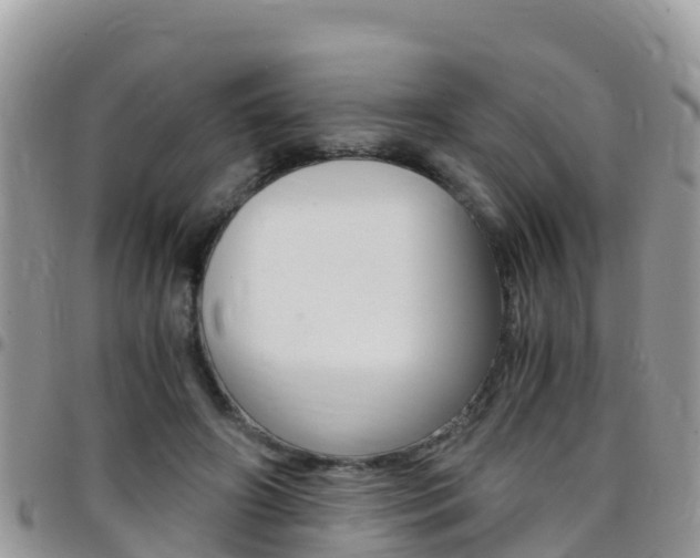 X0000096160498200801180854