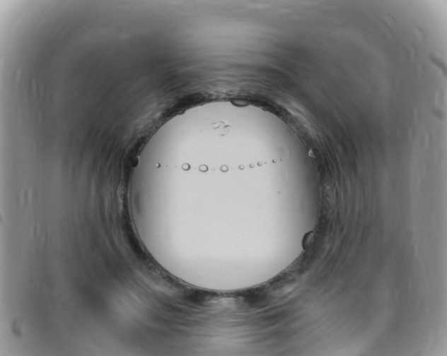 X0000096160499200801180854