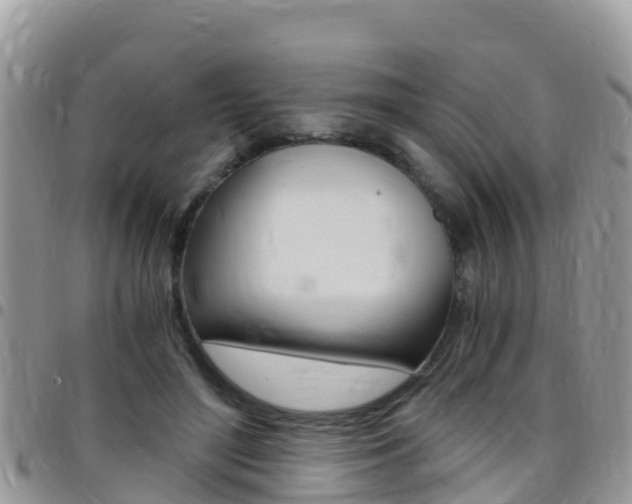 X0000096160500200801180854