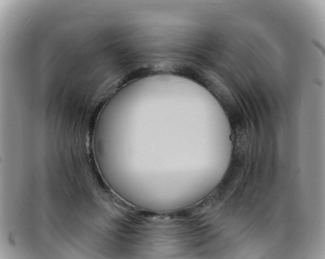 X0000096160502200801180854