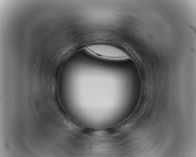 X0000096160505200801180854