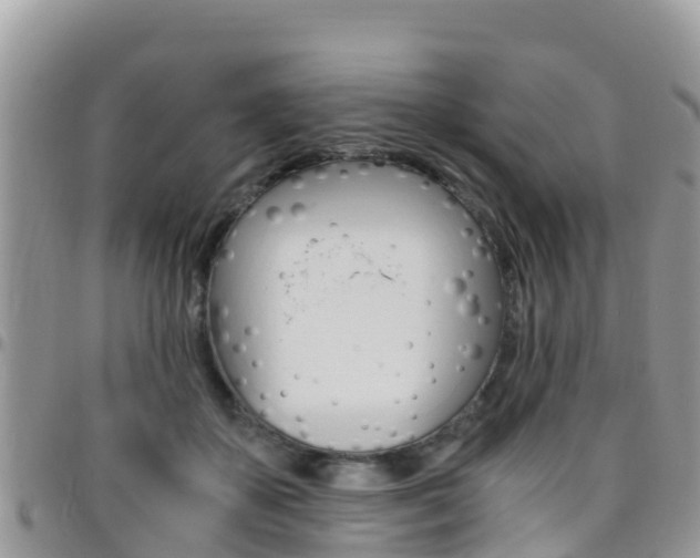 X0000096160507200801180854