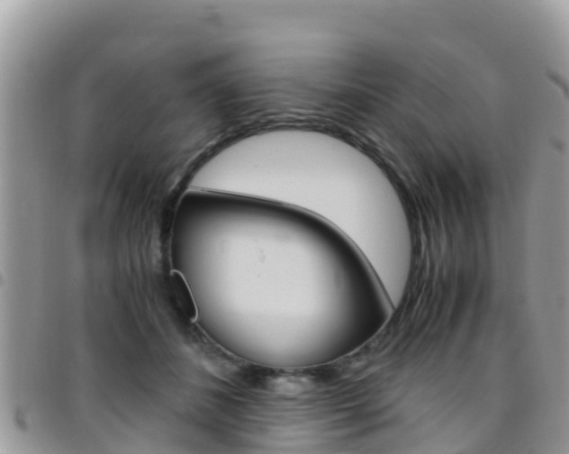 X0000096160508200801180854