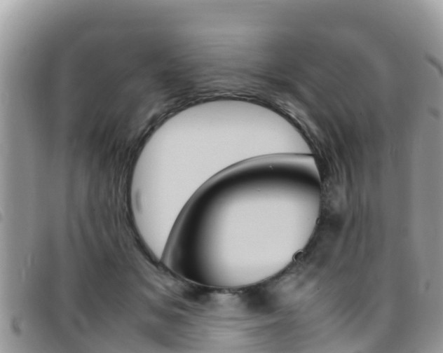 X0000096160509200801180854