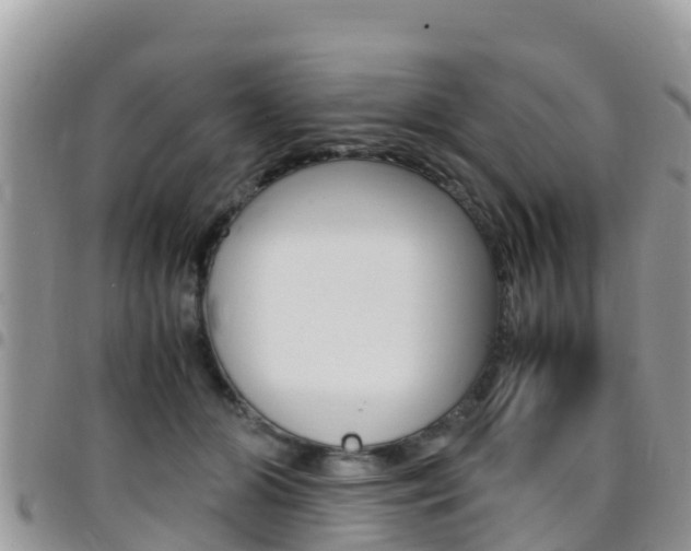X0000096160510200801180854