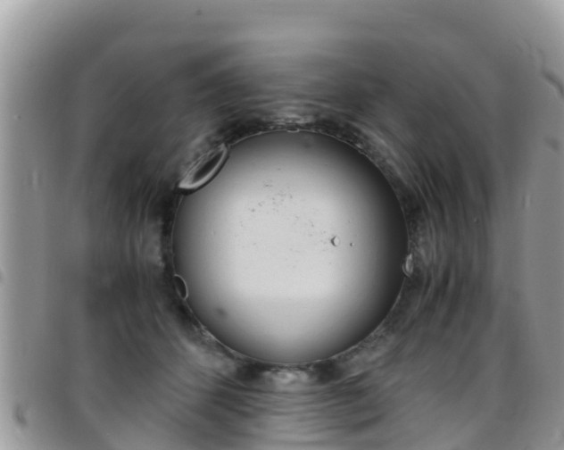 X0000096160512200801180854