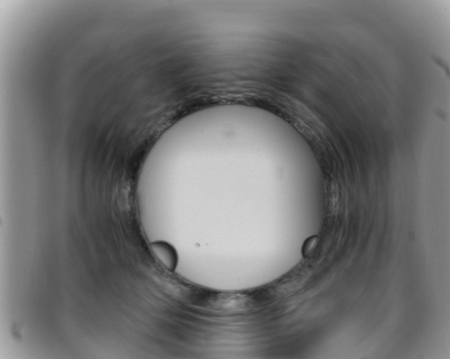 X0000096160514200801180854