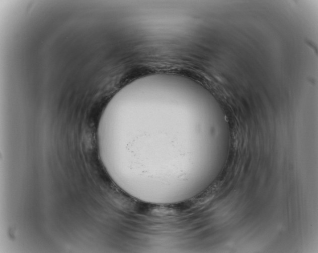 X0000096160515200801180854