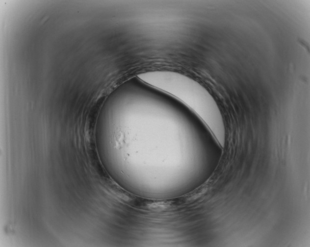 X0000096160516200801180854